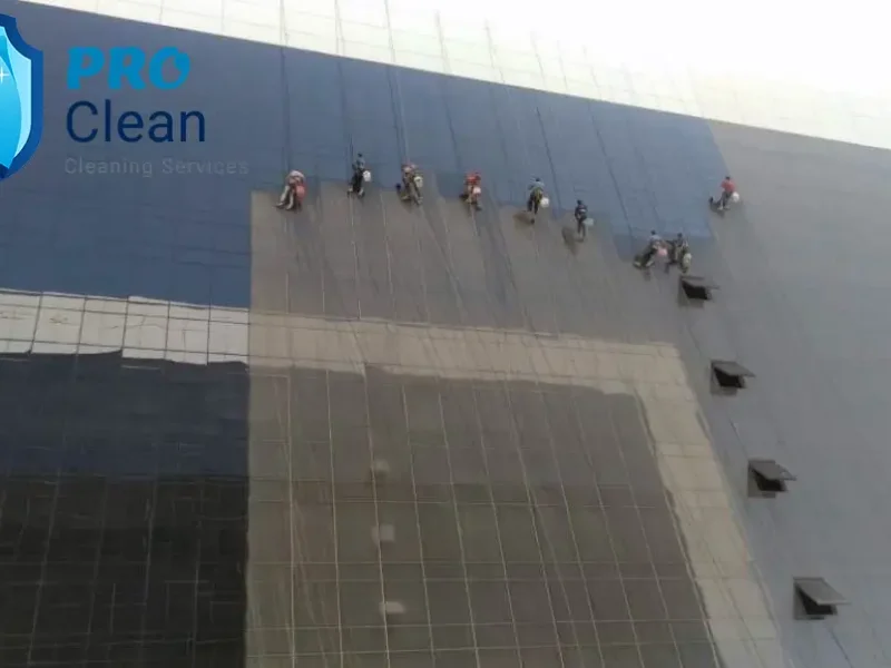 Pro Clean - Professional Cleaning Services (141)